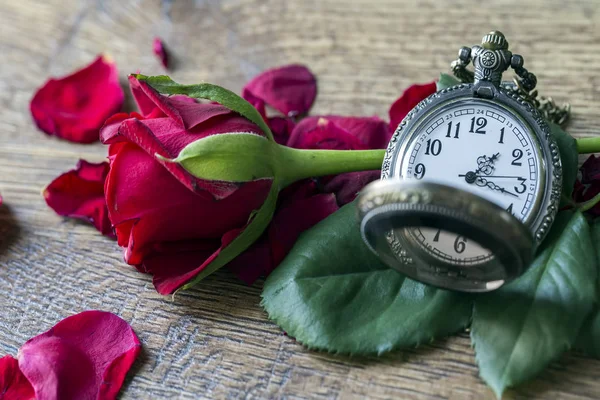 Rosa Roja Reloj Bolsillo Tiempo Fondo —  Fotos de Stock
