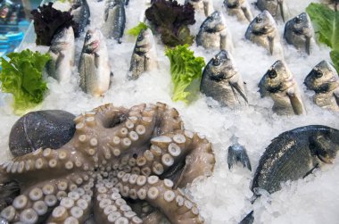 Çiğ balık pazarı. Deniz ürünleri sağlıklı balık pazarı.