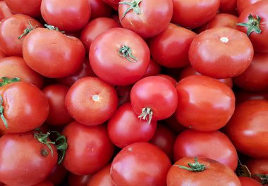 Lezzetli kırmızı domatesler. Yaz tepsisi tarım çiftliği organik sebzelerle dolu Arka plan olarak kullanılabilir. 