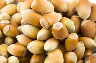 Fındık. Fındık yığınını. Gıda arka plan. Fındık arka plan