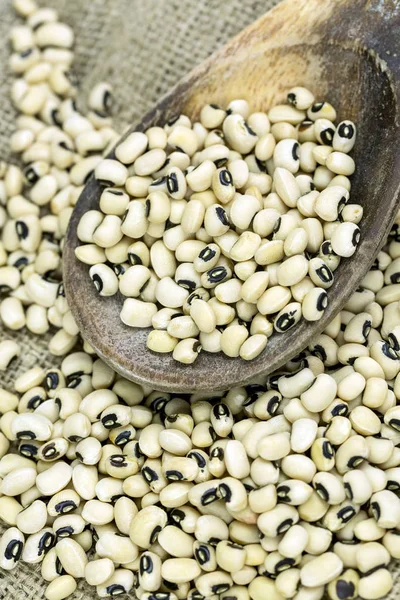 Black-eyed Beans texture background. Cowpea beans. Dried legumes.