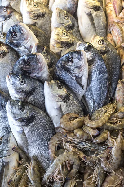 Mercato Del Pesce Crudo Mercato Del Pesce Sano Dei Frutti — Foto Stock