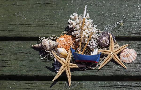 Seesterne Perlen Und Muscheln Aus Nächster Nähe — Stockfoto