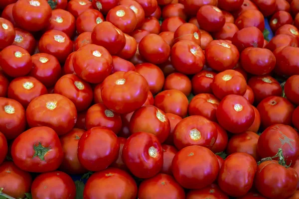 Deliciosos Tomates Rojos Verano Bandeja Mercado Agricultura Granja Llena Verduras — Foto de Stock