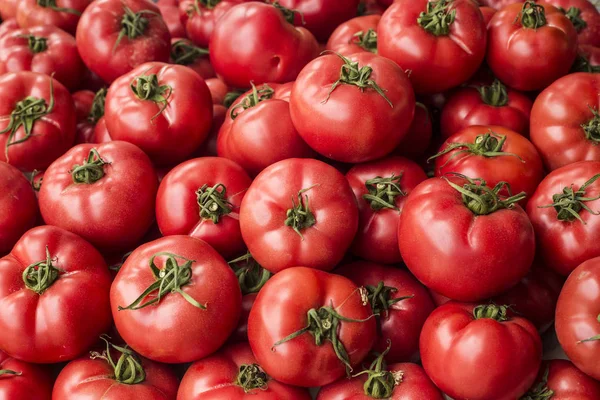 Tomates Vermelhos Deliciosos Mercado Bandeja Verão Fazenda Agrícola Cheia Vegetais — Fotografia de Stock