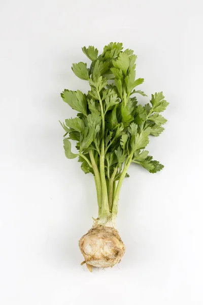 Φρέσκα Λαχανικά Σέλινο Για Λευκό Φόντο — Φωτογραφία Αρχείου