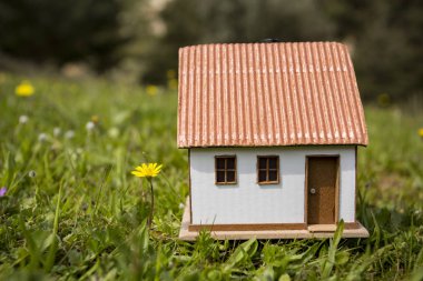 Model evde yeşil çim Bahçe. Küçük tatil evi.