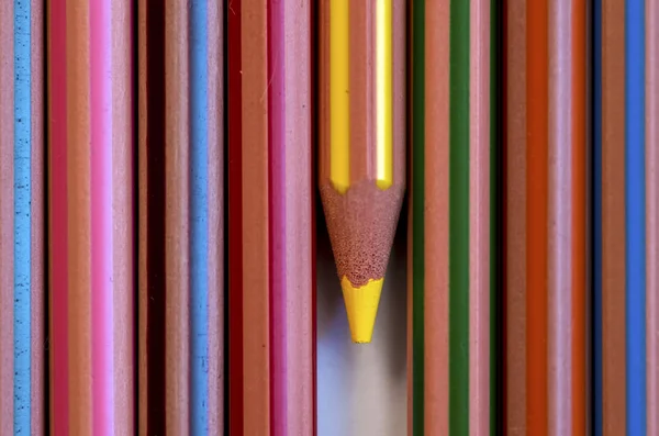 Crayons Colorés Isolés Sur Fond Blanc — Photo