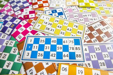 Bingo kartları (tombala / Loto) ve izole numaraları ile