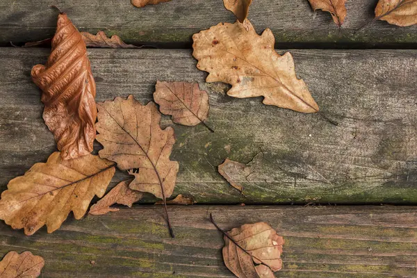 Sonbaharda sezon, sararmış yapraklar üzerinde ahşap arka plan.