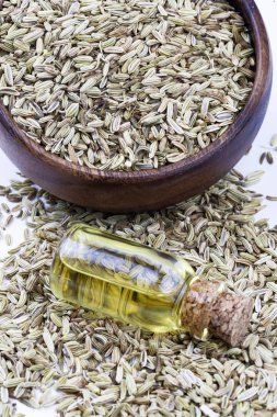 Rezene önemli petrol taze yeşil rezene twigs ve rezene tohum içinde belgili tanımlık geçmiş ile bir şişe 