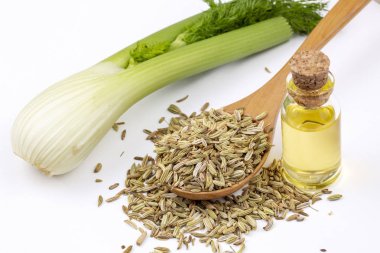 Rezene önemli petrol taze yeşil rezene twigs ve rezene tohum içinde belgili tanımlık geçmiş ile bir şişe 