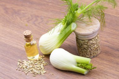 Rezene önemli petrol taze yeşil rezene twigs ve rezene tohum içinde belgili tanımlık geçmiş ile bir şişe 