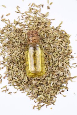 Rezene önemli petrol taze yeşil rezene twigs ve rezene tohum içinde belgili tanımlık geçmiş ile bir şişe 