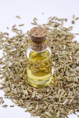 Rezene önemli petrol taze yeşil rezene twigs ve rezene tohum içinde belgili tanımlık geçmiş ile bir şişe 