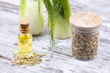 Rezene önemli petrol taze yeşil rezene twigs ve rezene tohum içinde belgili tanımlık geçmiş ile bir şişe 