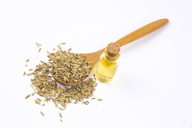 Rezene önemli petrol taze yeşil rezene twigs ve rezene tohum içinde belgili tanımlık geçmiş ile bir şişe 