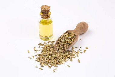 Rezene önemli petrol taze yeşil rezene twigs ve rezene tohum içinde belgili tanımlık geçmiş ile bir şişe 