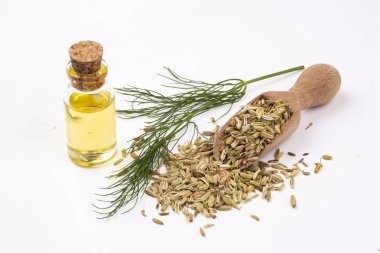 Rezene önemli petrol taze yeşil rezene twigs ve rezene tohum içinde belgili tanımlık geçmiş ile bir şişe 