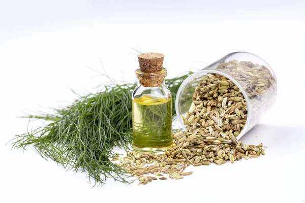 Rezene önemli petrol taze yeşil rezene twigs ve rezene tohum içinde belgili tanımlık geçmiş ile bir şişe 