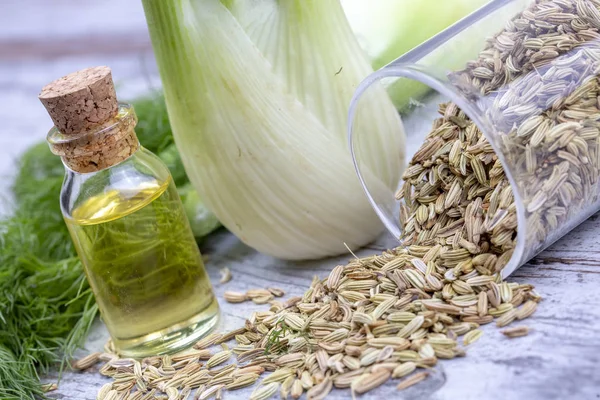 Rezene önemli petrol taze yeşil rezene twigs ve rezene tohum içinde belgili tanımlık geçmiş ile bir şişe 