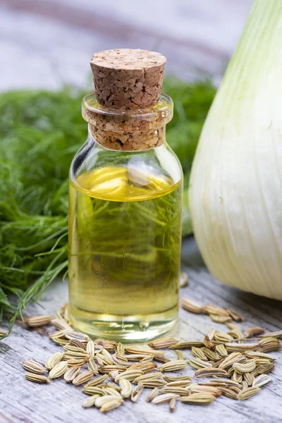 Rezene önemli petrol taze yeşil rezene twigs ve rezene tohum içinde belgili tanımlık geçmiş ile bir şişe 