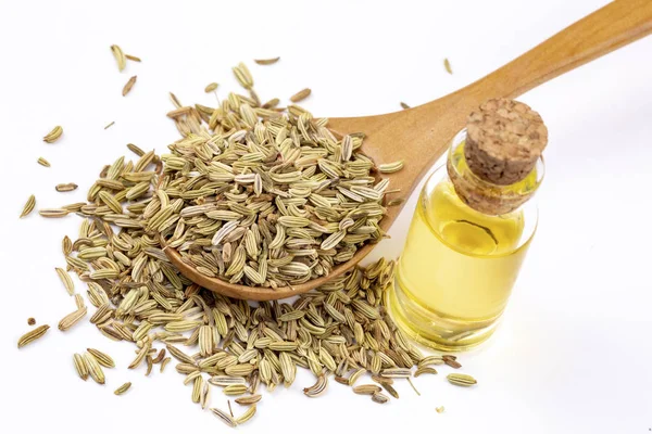 Rezene önemli petrol taze yeşil rezene twigs ve rezene tohum içinde belgili tanımlık geçmiş ile bir şişe 