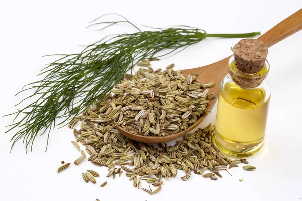 Rezene önemli petrol taze yeşil rezene twigs ve rezene tohum içinde belgili tanımlık geçmiş ile bir şişe 