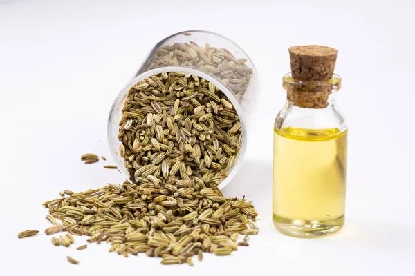 Rezene önemli petrol taze yeşil rezene twigs ve rezene tohum içinde belgili tanımlık geçmiş ile bir şişe 