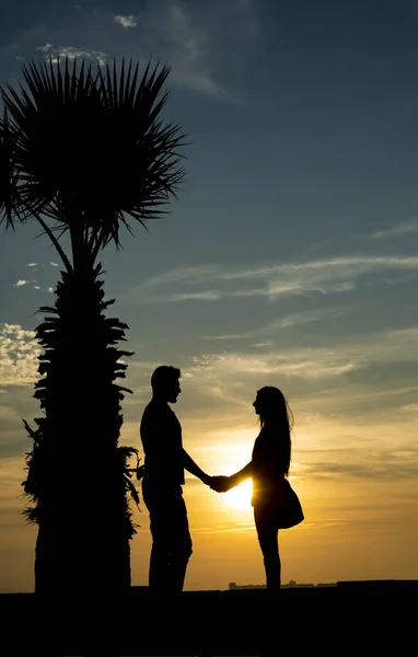 Jeune Couple Amoureux Silhouette Dans Paysage Coucher Soleil — Photo