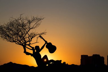 Gün batımını görünümünü; gitar ile genç adam