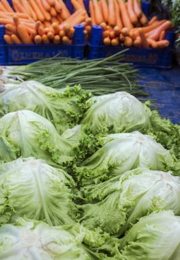 yeşil sebzeler pazarda. yeşil lahana ve marul