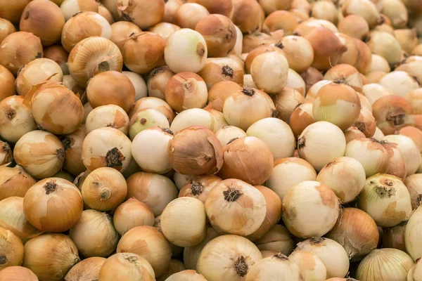 Taze soğan. Soğan arka planı. Olgun soğanlar. Piyasada soğan