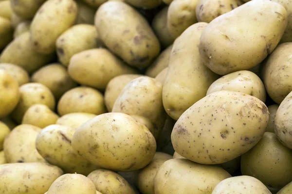 Piyasada taze organik patatesler satılıyor. 