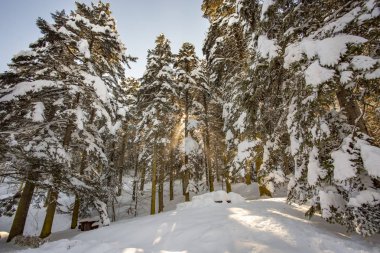 Abant / Bolu / Türkiye, kış kar manzara. Seyahat kavramı fotoğraf. 