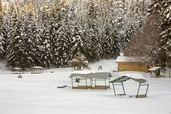 Abant Bolu Turquía Paisaje Nieve Invierno Foto Concepto Viaje — Foto de Stock