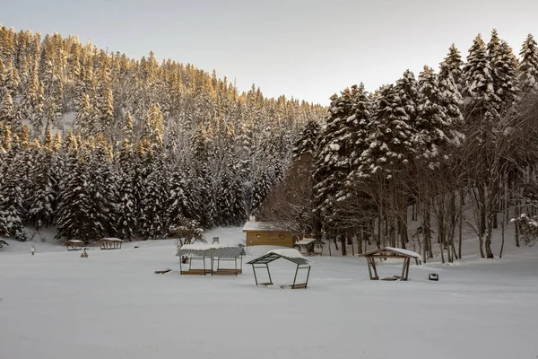 Abant Bolu Turquía Paisaje Nieve Invierno Foto Concepto Viaje —  Fotos de Stock