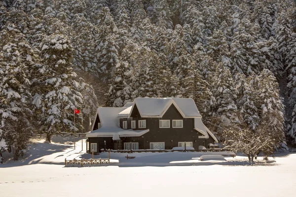 Golcuk Bolu Turquía Paisaje Nieve Invierno Foto Concepto Viaje — Foto de Stock