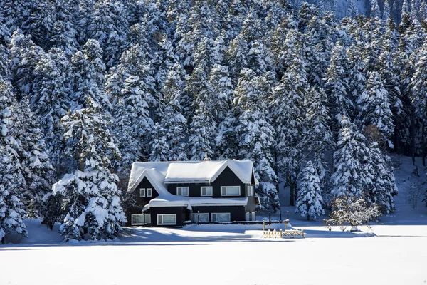 Golcuk Bolu Turquía Paisaje Nieve Invierno Foto Concepto Viaje — Foto de Stock