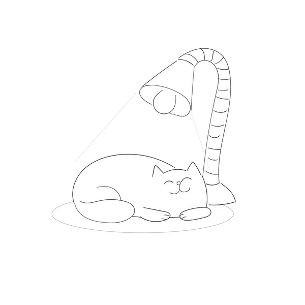Lindo Gato Dibujar Ilustración Mascotas Concepto Animal — Foto de Stock