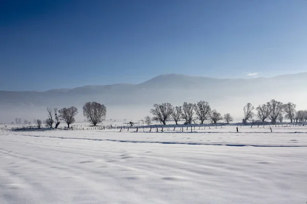 Bolu Turquía Invierno Nieve Parque Natural Paisaje —  Fotos de Stock