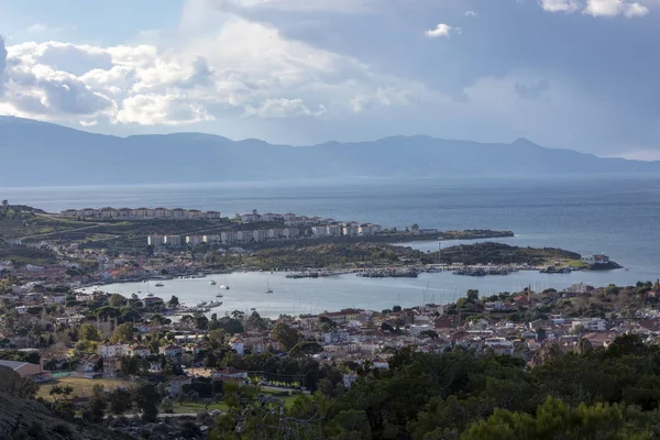 Foca Izmir Turquía Foto Concepto Viaje Naturaleza — Foto de Stock