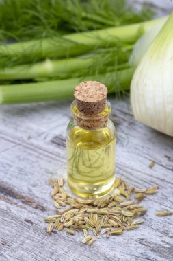 Rezene önemli petrol taze yeşil rezene twigs ve rezene tohum içinde belgili tanımlık geçmiş ile bir şişe 