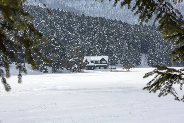 Golcuk Bolu Turquía Invierno Estación Nieve Paisaje — Foto de Stock