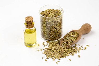 Rezene önemli petrol taze yeşil rezene twigs ve rezene tohum içinde belgili tanımlık geçmiş ile bir şişe 