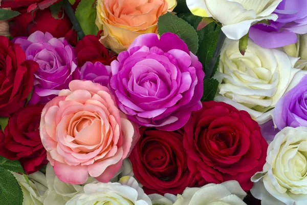 Rosas Una Variedad Colores Flores —  Fotos de Stock