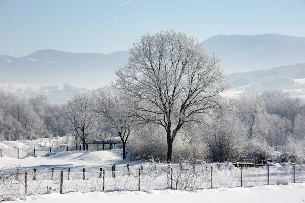 Bolu Turquía Invierno Nieve Estación Paisaje Foto Concepto Viaje —  Fotos de Stock