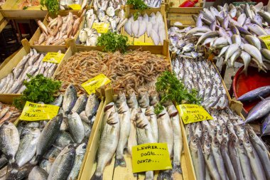 Bostanlı / Izmir / Türkiye, 20 Şubat 2019, Bostanlı balık işareti