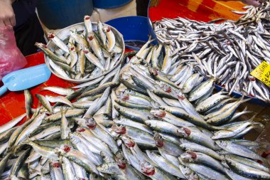 Bostanlı / Izmir / Türkiye, 20 Şubat 2019, Bostanlı balık işareti