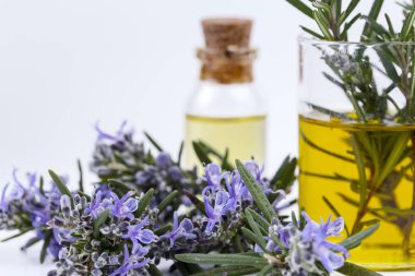 Biberiye esansiyel yağı küçük bir şişe içinde. Doğal aroma kozmetik